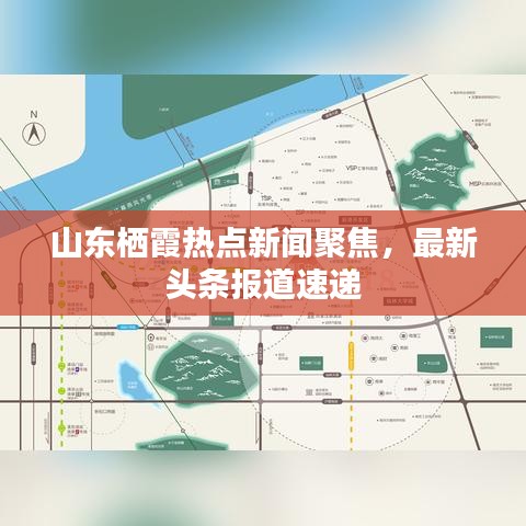 山东栖霞热点新闻聚焦，最新头条报道速递