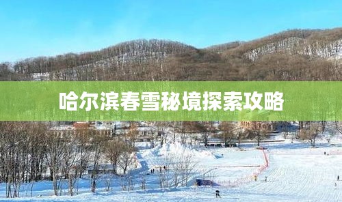 哈尔滨春雪秘境探索攻略