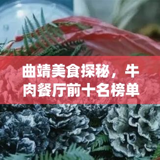 曲靖美食探秘，牛肉餐厅前十名榜单，地道美味之旅