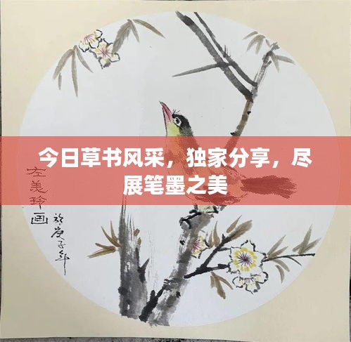 今日草书风采，独家分享，尽展笔墨之美