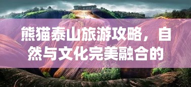熊猫泰山旅游攻略，自然与文化完美融合的探索之旅