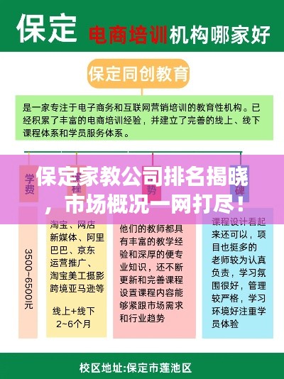 保定家教公司排名揭晓，市场概况一网打尽！