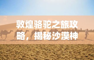 敦煌骆驼之旅攻略，揭秘沙漠神秘之旅！