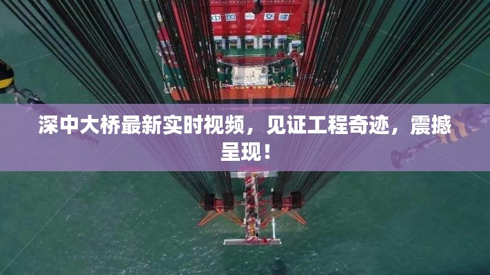 深中大桥最新实时视频，见证工程奇迹，震撼呈现！