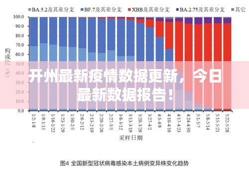 开州最新疫情数据更新，今日最新数据报告！