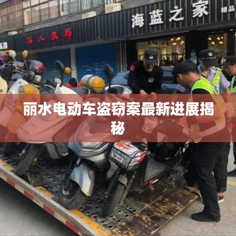 丽水电动车盗窃案最新进展揭秘