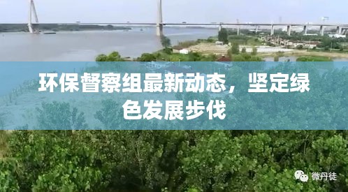 环保督察组最新动态，坚定绿色发展步伐