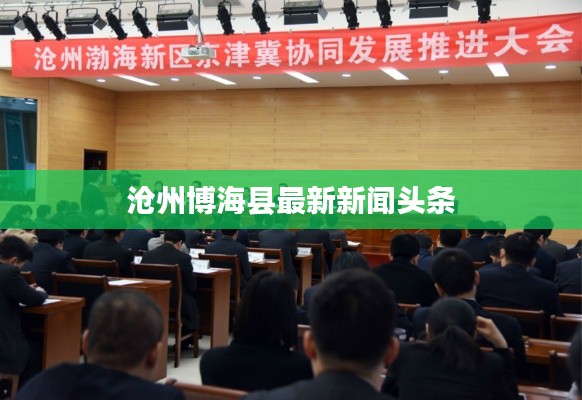 沧州博海县最新新闻头条