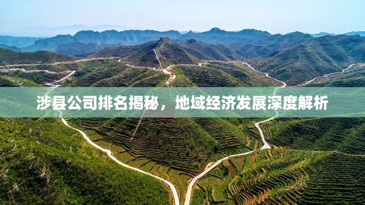 涉县公司排名揭秘，地域经济发展深度解析