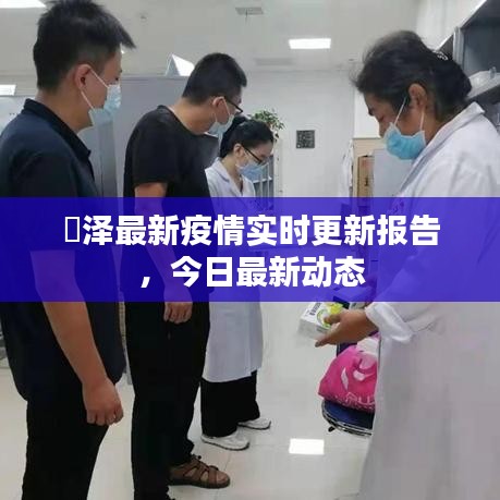 渮泽最新疫情实时更新报告，今日最新动态