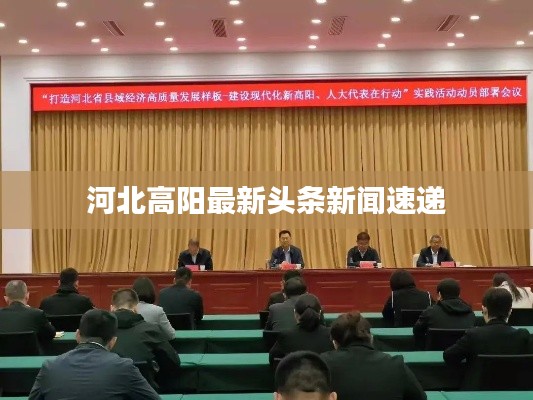 河北高阳最新头条新闻速递