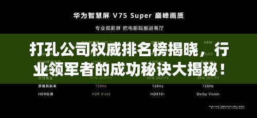 打孔公司权威排名榜揭晓，行业领军者的成功秘诀大揭秘！
