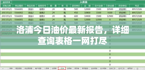 洛浦今日油价最新报告，详细查询表格一网打尽