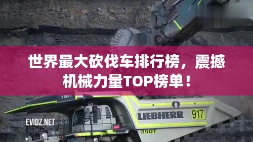 世界最大砍伐车排行榜，震撼机械力量TOP榜单！