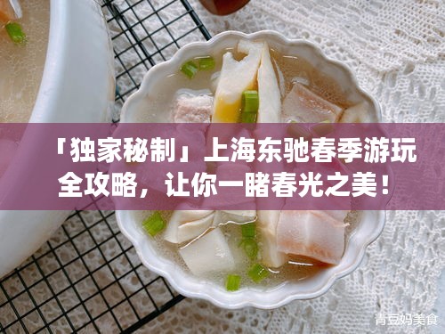 「独家秘制」上海东驰春季游玩全攻略，让你一睹春光之美！
