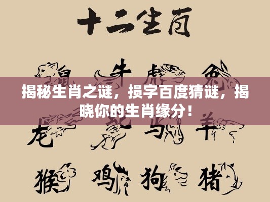 揭秘生肖之谜，损字百度猜谜，揭晓你的生肖缘分！