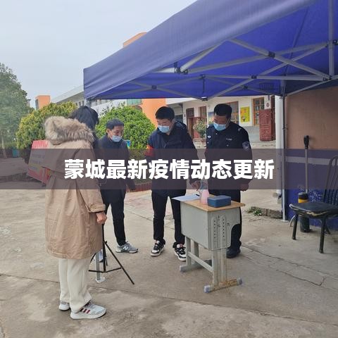 蒙城最新疫情动态更新
