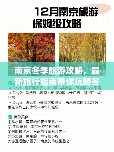 南京冬季旅游攻略，最新旅行指南带你玩转冬日南京