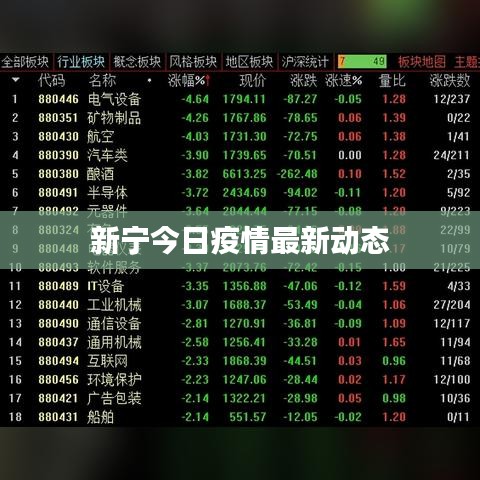 新宁今日疫情最新动态