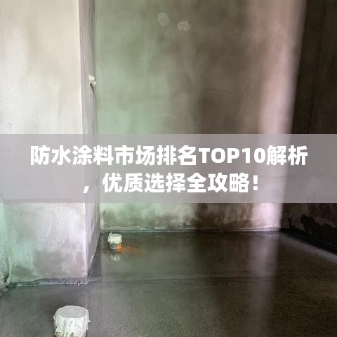 防水涂料市场排名TOP10解析，优质选择全攻略！