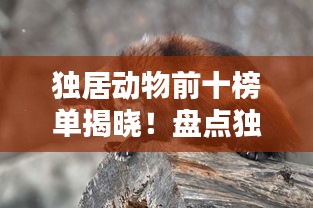 独居动物前十榜单揭晓！盘点独居动物界的佼佼者