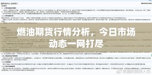 燃油期货行情分析，今日市场动态一网打尽