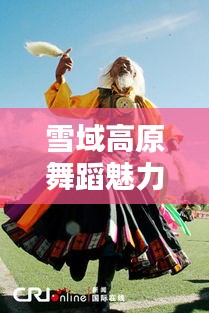 雪域高原舞蹈魅力，最新藏族舞蹈视频完整版街拍亮相！