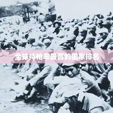 全球持枪率最高的国家排名