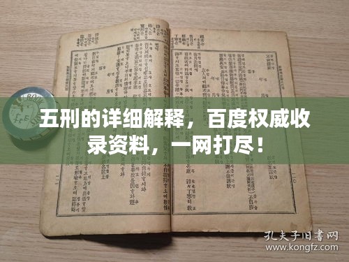 2025年6月4日 第4页