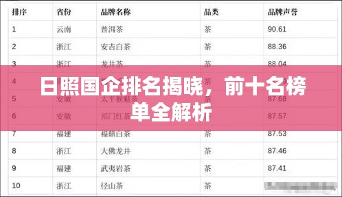 日照国企排名揭晓，前十名榜单全解析