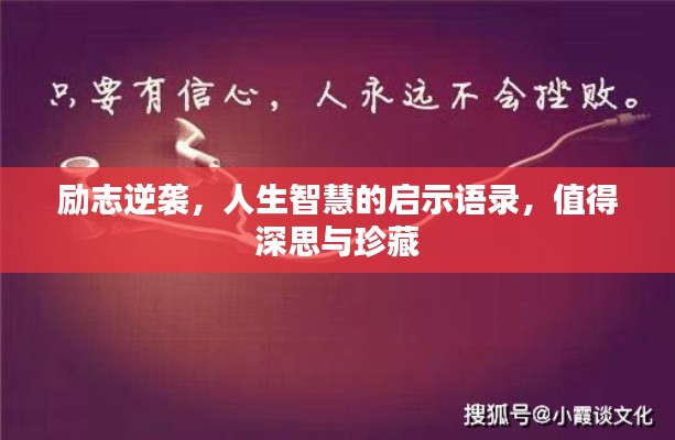 2025年6月5日 第2页