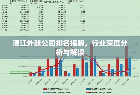 湛江外账公司排名揭晓，行业深度分析与解读
