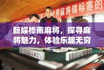 鲸娱桦南麻将，探寻麻将魅力，体验乐趣无穷