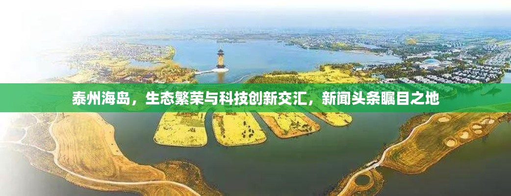 泰州海岛，生态繁荣与科技创新交汇，新闻头条瞩目之地