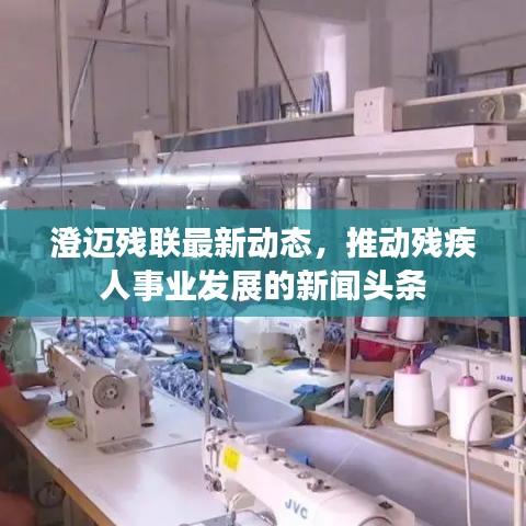 澄迈残联最新动态，推动残疾人事业发展的新闻头条