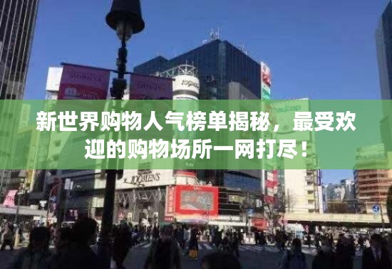 新世界购物人气榜单揭秘，最受欢迎的购物场所一网打尽！