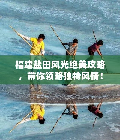 福建盐田风光绝美攻略，带你领略独特风情！