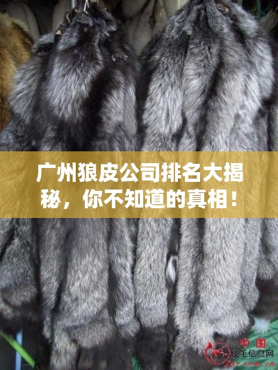 广州狼皮公司排名大揭秘，你不知道的真相！