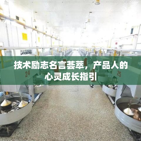 技术励志名言荟萃，产品人的心灵成长指引