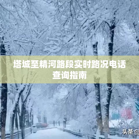 塔城至精河路段实时路况电话查询指南