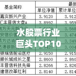 水股票行业巨头TOP10排名，市场潮流引领者