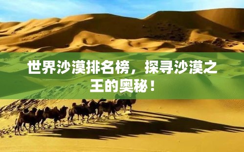 世界沙漠排名榜，探寻沙漠之王的奥秘！