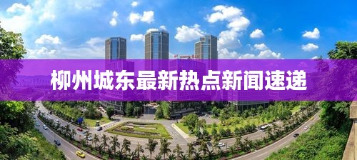 柳州城东最新热点新闻速递
