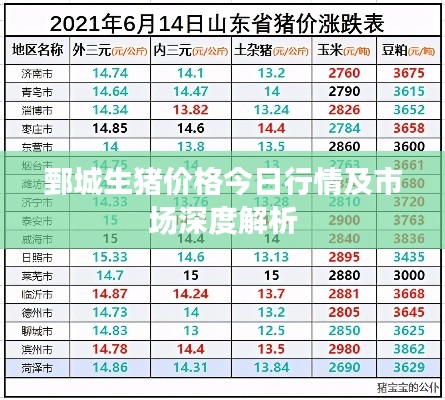 鄄城生猪价格今日行情及市场深度解析
