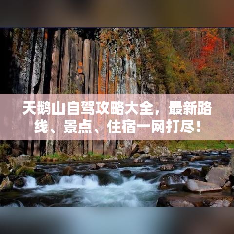 荡然无存