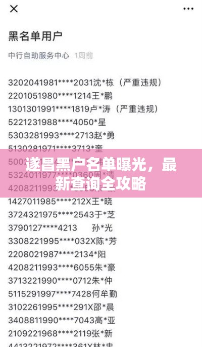 遂昌黑户名单曝光，最新查询全攻略