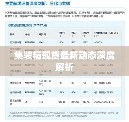 集装箱现货最新动态深度解析