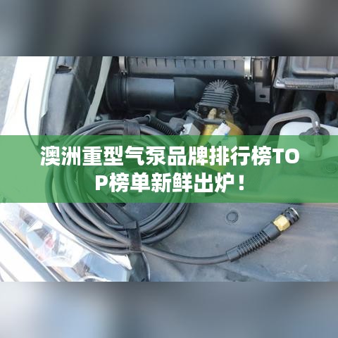 澳洲重型气泵品牌排行榜TOP榜单新鲜出炉！