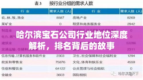 哈尔滨宝石公司行业地位深度解析，排名背后的故事
