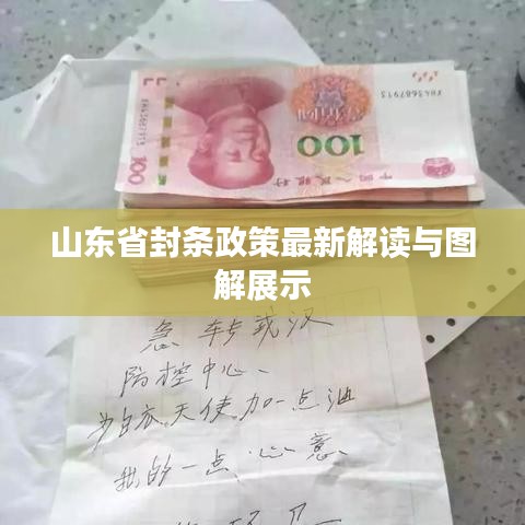 山东省封条政策最新解读与图解展示